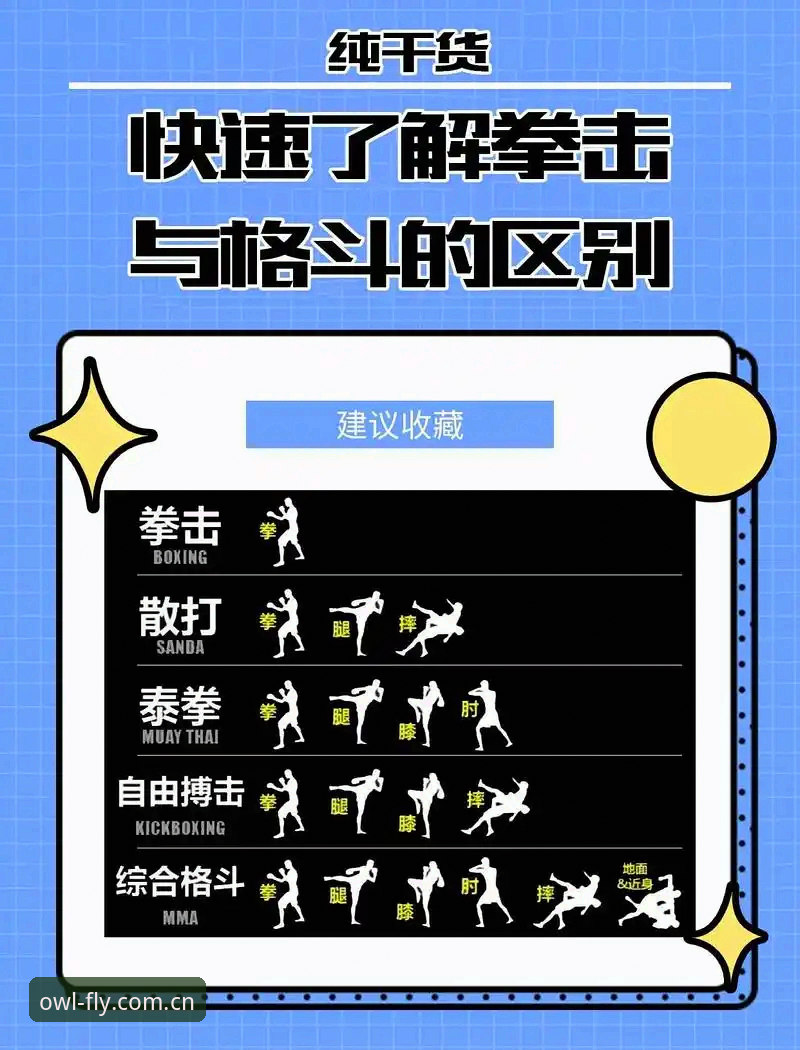 老用户聊聊猫头鹰体育平台：从入门到离不开的实战经验分享